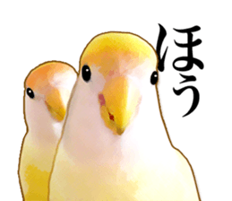 Real bird sticker sticker #5764854