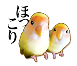 Real bird sticker sticker #5764856