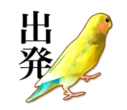 Real bird sticker sticker #5764857