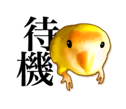 Real bird sticker sticker #5764860