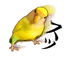 Real bird sticker sticker #5764861