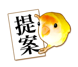 Real bird sticker sticker #5764864