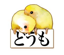 Real bird sticker sticker #5764865