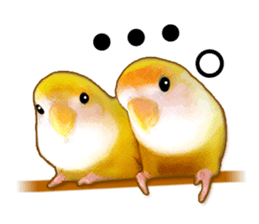 Real bird sticker sticker #5764866