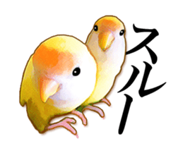 Real bird sticker sticker #5764867