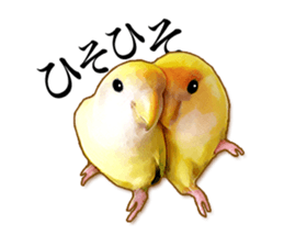 Real bird sticker sticker #5764869
