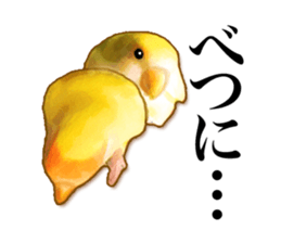 Real bird sticker sticker #5764870