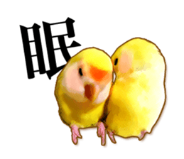 Real bird sticker sticker #5764873