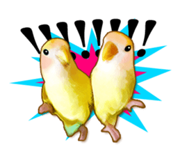 Real bird sticker sticker #5764874