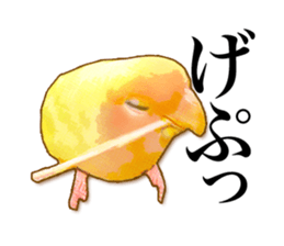Real bird sticker sticker #5764875