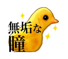 Real bird sticker sticker #5764879