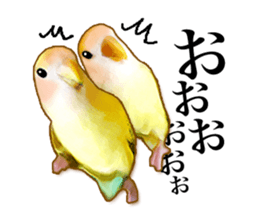 Real bird sticker sticker #5764882