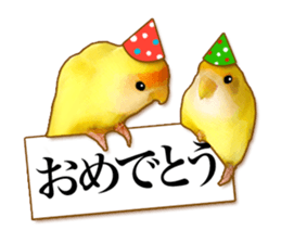 Real bird sticker sticker #5764883