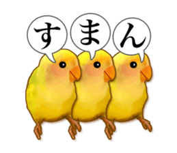 Real bird sticker sticker #5764884