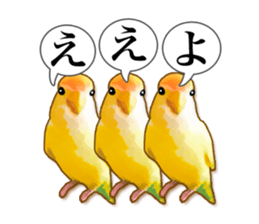 Real bird sticker sticker #5764885