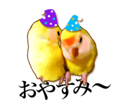 Real bird sticker sticker #5764888