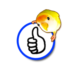 Real bird sticker sticker #5764890