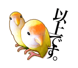 Real bird sticker sticker #5764891
