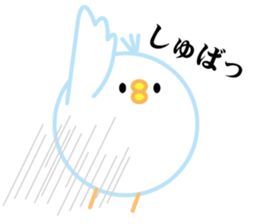 bird of the glance from the diagonal top sticker #5766149