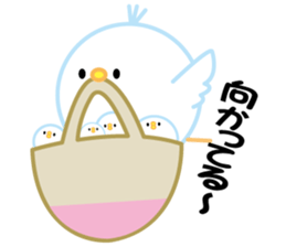 bird of the glance from the diagonal top sticker #5766160