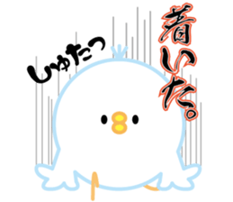bird of the glance from the diagonal top sticker #5766162