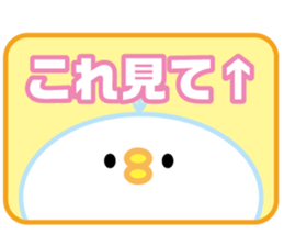 bird of the glance from the diagonal top sticker #5766169