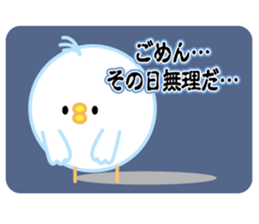 bird of the glance from the diagonal top sticker #5766174