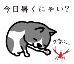 The cat enthusiast vol.08 - 2 sticker #5766558