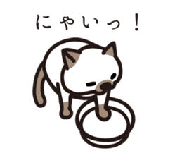 The cat enthusiast vol.08 - 2 sticker #5766577