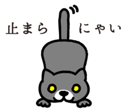 The cat enthusiast vol.08 - 2 sticker #5766587