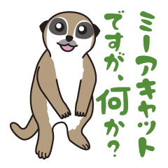 Meerkat Sticker By Unisuke By Unisuke