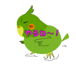 The cockateel which takes it easy sticker #5768156