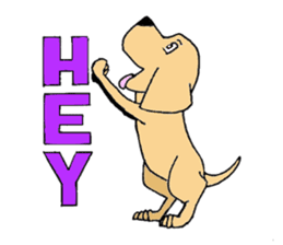 Buddy's American Life sticker #5768297