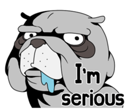 Bull Dog English edition sticker #5769423