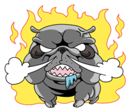 Bull Dog English edition sticker #5769440