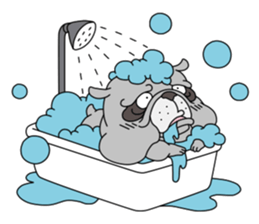 Bull Dog English edition sticker #5769442