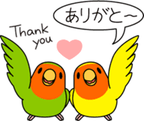 Peach-faced Lovebird "Kozakura-chi" sticker #5770084
