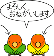 Peach-faced Lovebird "Kozakura-chi" sticker #5770086
