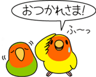 Peach-faced Lovebird "Kozakura-chi" sticker #5770088