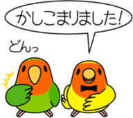 Peach-faced Lovebird "Kozakura-chi" sticker #5770092