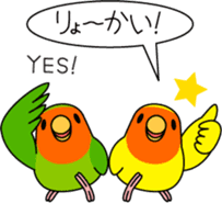 Peach-faced Lovebird "Kozakura-chi" sticker #5770093