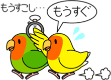 Peach-faced Lovebird "Kozakura-chi" sticker #5770094