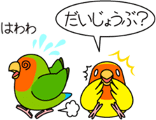 Peach-faced Lovebird "Kozakura-chi" sticker #5770097