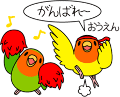 Peach-faced Lovebird "Kozakura-chi" sticker #5770098
