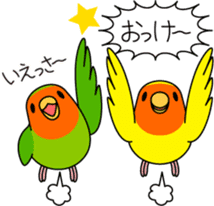 Peach-faced Lovebird "Kozakura-chi" sticker #5770101