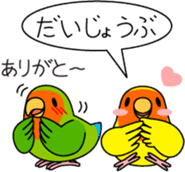 Peach-faced Lovebird "Kozakura-chi" sticker #5770102