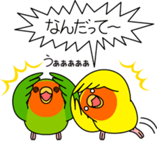 Peach-faced Lovebird "Kozakura-chi" sticker #5770105