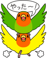 Peach-faced Lovebird "Kozakura-chi" sticker #5770107