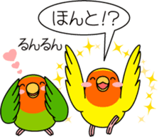 Peach-faced Lovebird "Kozakura-chi" sticker #5770110