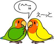 Peach-faced Lovebird "Kozakura-chi" sticker #5770114